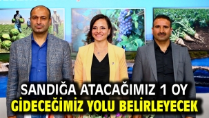 Sandığa atacağımız 1 oy gideceğimiz yolu belirleyecek