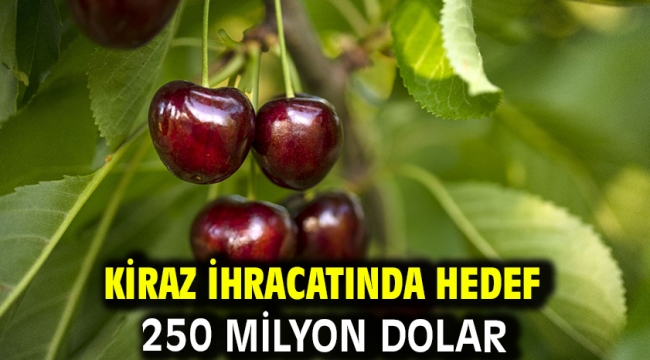 Kiraz ihracatında hedef 250 milyon dolar 