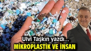 MİKROPLASTİK ve İNSAN