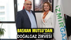 Başkan Mutlu'dan doğalgaz zirvesi
