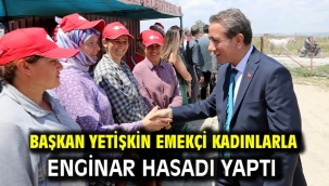 Başkan Yetişkin Emekçi Kadınlarla Enginar Hasadı Yaptı