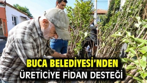 Buca Belediyesi'nden üreticiye fidan desteği