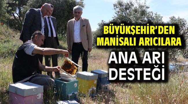 Büyükşehir'den Manisalı Arıcılara Ana Arı Desteği