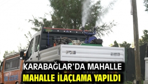 Karabağlar'da mahalle mahalle ilaçlama yapıldı