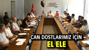 Can Dostlarımız İçin El Ele