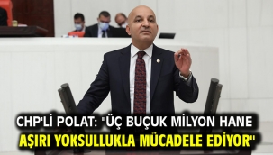CHP'li Polat: ''Üç Buçuk Milyon Hane Aşırı Yoksullukla Mücadele Ediyor''