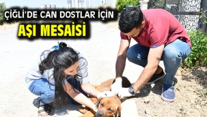 Çiğli'de Can Dostlar için Aşı Mesaisi