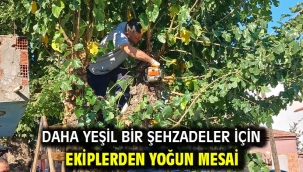Daha Yeşil Bir Şehzadeler İçin Ekiplerden Yoğun Mesai