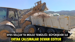 Efes Selçuk'ta Moloz Temizliği: Büyükşehir İle Ortak Çalışmalar Devam Ediyor