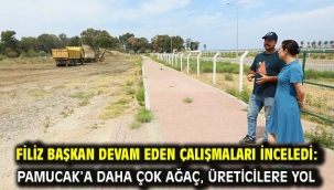 Filiz Başkan Devam Eden Çalışmaları İnceledi: Pamucak'a Daha Çok Ağaç, Üreticilere Yol