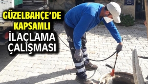 Güzelbahçe'de Kapsamlı İlaçlama Çalışması