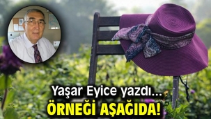 ÖRNEĞİ AŞAĞIDA!
