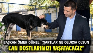 Başkan Ömer Günel: "Şartlar Ne Olursa Olsun Can Dostlarımızı Yaşatacağız"