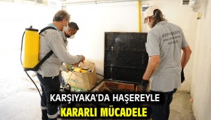 Karşıyaka'da haşereyle kararlı mücadele