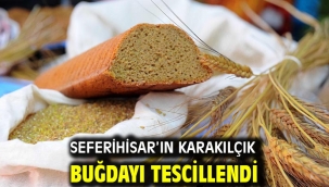 Seferihisar'ın Karakılçık Buğdayı Tescillendi