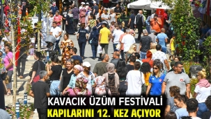 Kavacık Üzüm Festivali kapılarını 12. kez açıyor