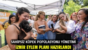 Sahipsiz Köpek Popülasyonu Yönetimi İzmir Eylem Planı hazırlandı