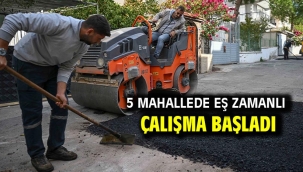 5 mahallede eş zamanlı çalışma başladı