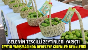 Belen'in Tescilli Zeytinleri Yarıştı... Zeytin Yarışmasında Dereceye Girenler Belirlendi