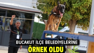 BUCAKUT ilçe belediyelerine örnek oldu