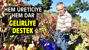 Hem üreticiye hem dar gelirliye destek