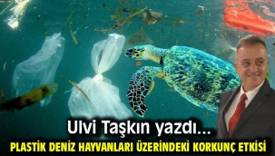 Plastik deniz hayvanları üzerindeki korkunç etkisi