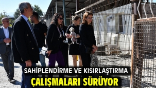 Sahiplendirme ve Kısırlaştırma Çalışmaları Sürüyor