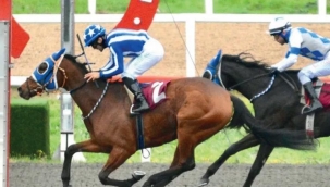 At yarışlarına VAR geliyor