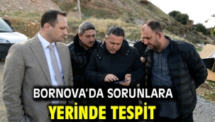 Bornova'da sorunlara yerinde tespit