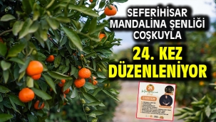 Seferihisar Mandalina Şenliği Coşkuyla 24. Kez Düzenleniyor