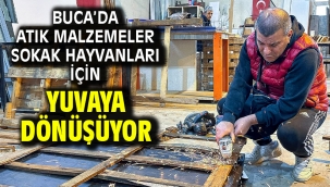 Buca'da atık malzemeler sokak hayvanları için yuvaya dönüşüyor