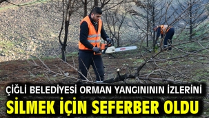Çiğli Belediyesi Orman Yangınının İzlerini Silmek İçin Seferber Oldu