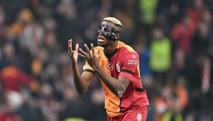 Aslan kaçamadı