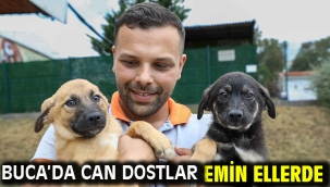 Buca'da can dostlar emin ellerde