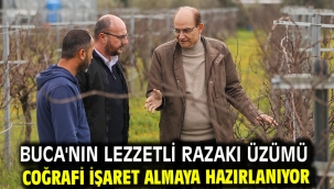 Buca'nın lezzetli razakı üzümü coğrafi işaret almaya hazırlanıyor