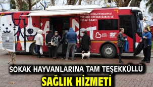 Sokak hayvanlarına tam teşekküllü sağlık hizmeti