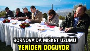 Bornova'da Misket Üzümü yeniden doğuyor
