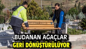 Budanan ağaçlar geri dönüştürülüyor 