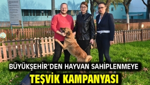 Büyükşehir'den hayvan sahiplenmeye teşvik kampanyası 