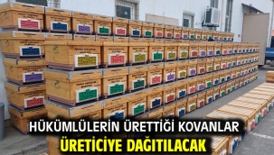 Hükümlülerin Ürettiği Kovanlar Üreticiye Dağıtılacak
