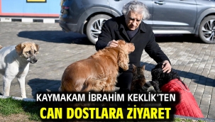 Kaymakam İbrahim Keklik'ten Can Dostlara Ziyaret