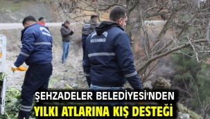 Şehzadeler Belediyesi'nden Yılkı Atlarına Kış Desteği