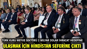 Türk kuru meyve sektörü 2 milyar dolar ihracat hedefine ulaşmak için Hindistan seferine çıktı