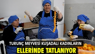Turunç Meyvesi Kuşadalı Kadınların Ellerinde Tatlanıyor