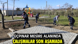Üçpınar Mesire Alanında Çalışmalar Son Aşamada