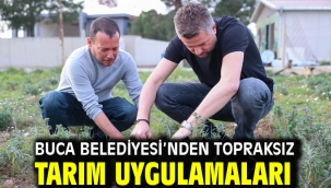 Buca Belediyesi'nden topraksız tarım uygulamaları