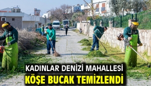 KADINLAR DENİZİ MAHALLESİ KÖŞE BUCAK TEMİZLENDİ