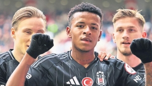 Kartal seri peşinde