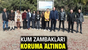 Kum Zambakları Koruma Altında