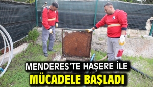 Menderes'te Haşere ile Mücadele Başladı